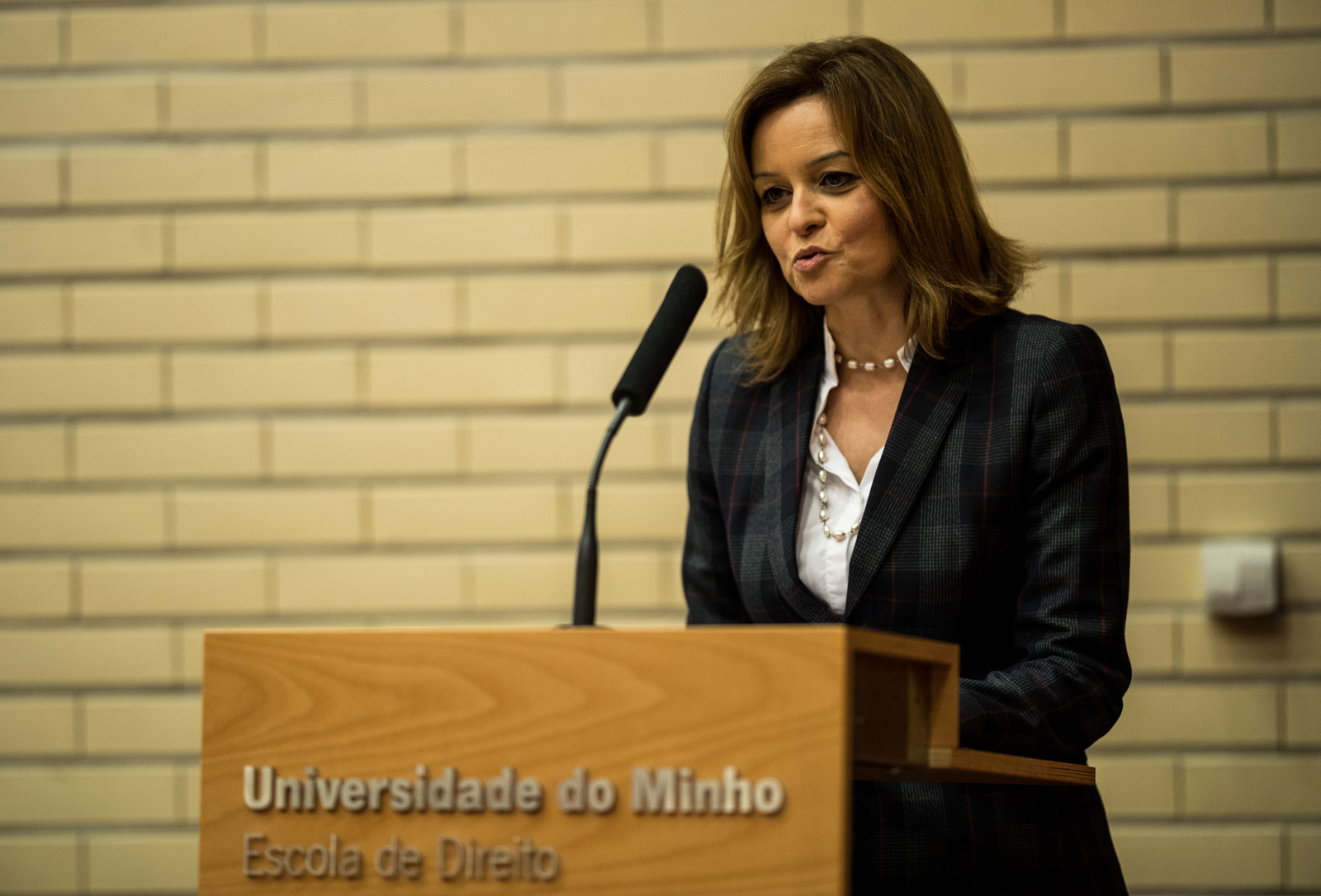 Thumbnail da galeria Aniversário Escola de Direito